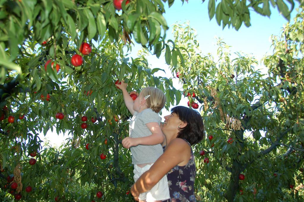 הוילה Montalto delle Marche Agriturismo Il Sentiero מראה חיצוני תמונה