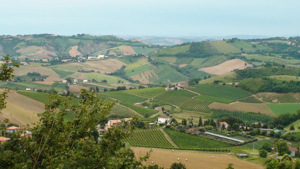 הוילה Montalto delle Marche Agriturismo Il Sentiero מראה חיצוני תמונה